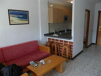 Ficus Playa Del Inlges * Playa del Ingles (Gran Canaria)