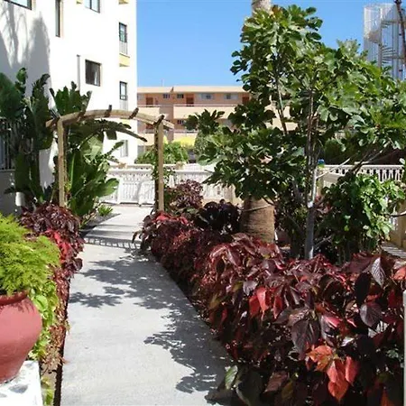 Ficus Playa Del Inlges Apartment *