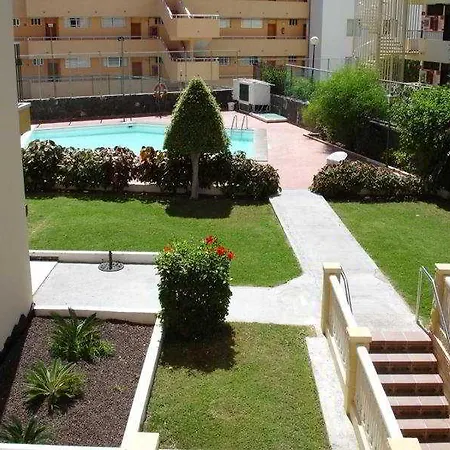 Ficus Playa Del Inlges